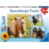 Ravensburger - Puzzles 3x49 pièces - Adorables poneys