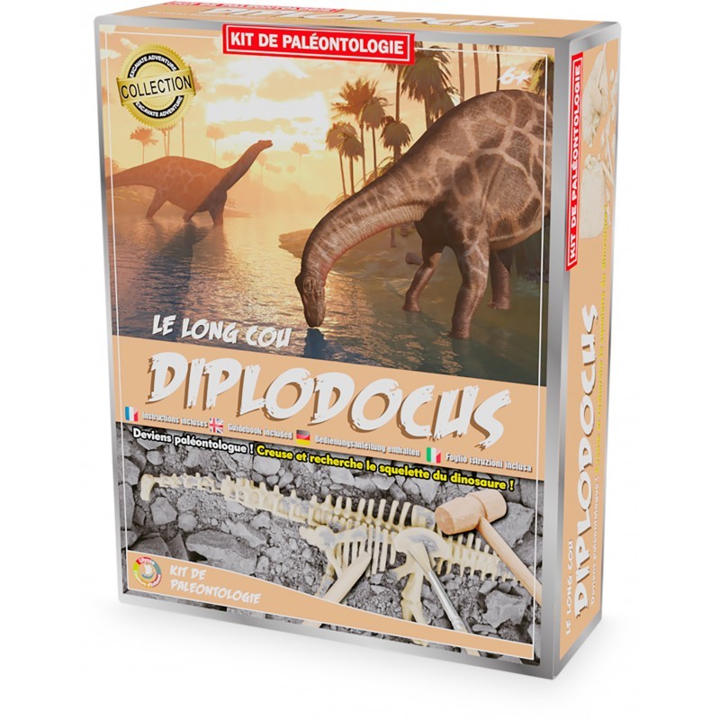 Ulysse - Kit paléo - Diplodocus