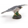 Papo - Figurine - 50165 - La vie sauvage - Faucon