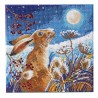 OZ - Loisirs créatifs - Crystal Art - Kit tableau broderie diamant 30x30cm Lapin clair de lune