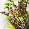 OZ - Loisirs créatifs - Crystal Art - Kit tableau broderie diamant 30x30cm Girafes