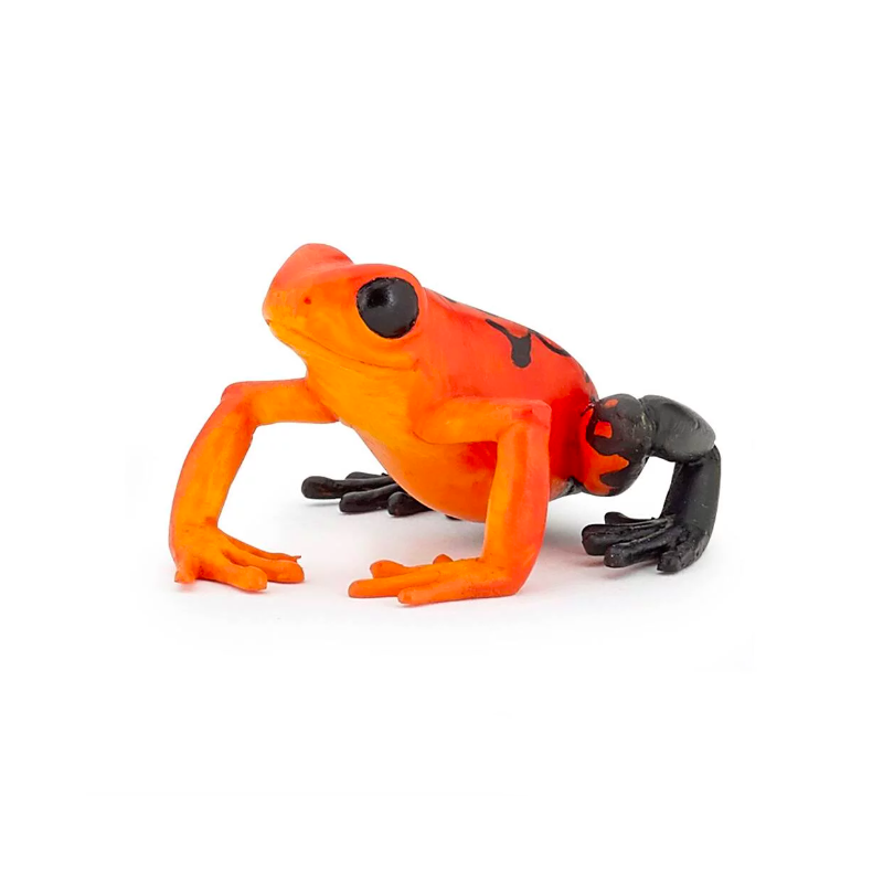 Papo - Figurine - 50193 - La vie sauvage - Grenouille équatoriale rouge