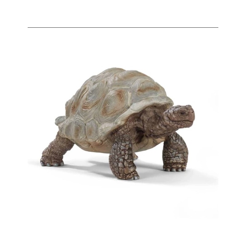 Schleich - 14824 - Wild Life - Tortue géante