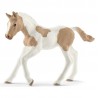 Schleich - 13886 - Horse Club - Poulain Paint