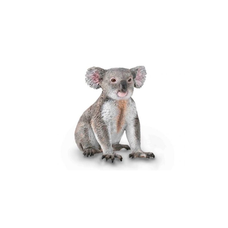 DAM - Figurine de collection - Collecta - Animaux sauvages - Koala