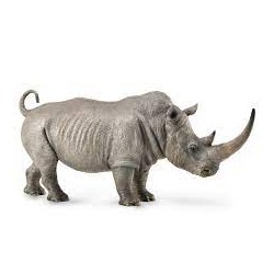 DAM - Figurine de collection - Collecta - Animaux sauvages - Rhinocéros blanc