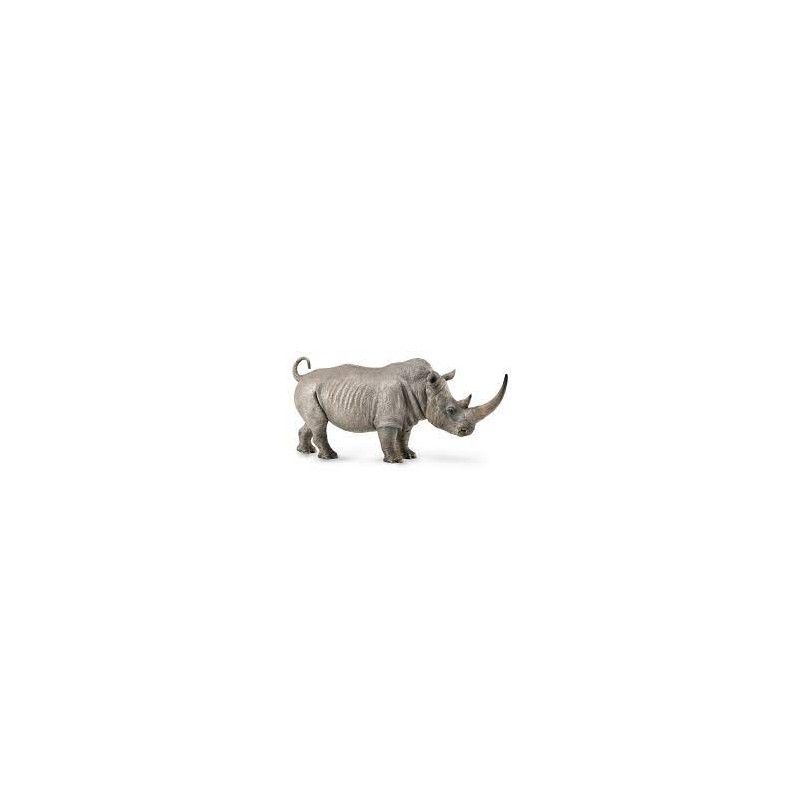 DAM - Figurine de collection - Collecta - Animaux sauvages - Rhinocéros blanc