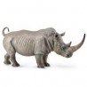 DAM - Figurine de collection - Collecta - Animaux sauvages - Rhinocéros blanc