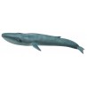 DAM - Figurine de collection - Collecta - Animaux marins - Baleine bleue