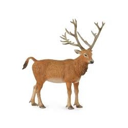 DAM - Figurine de collection - Collecta - Animaux sauvages - Cerf du père David