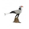 DAM - Figurine de collection - Collecta - Animaux sauvages - Oiseau secrétaire