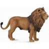 DAM - Figurine de collection - Collecta - Animaux sauvages - Lion africain