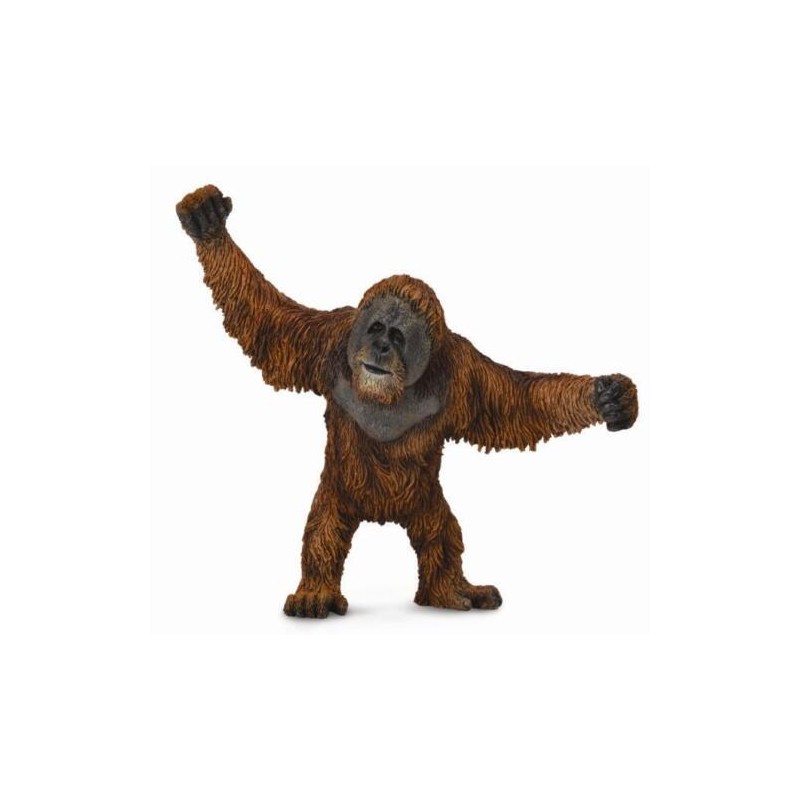 DAM - Figurine de collection - Collecta - Animaux sauvages - Orang-outang