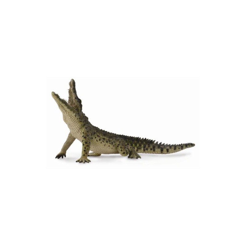 DAM - Figurine de collection - Collecta - Animaux sauvages - Crocodile du Nil à mâchoire mobile