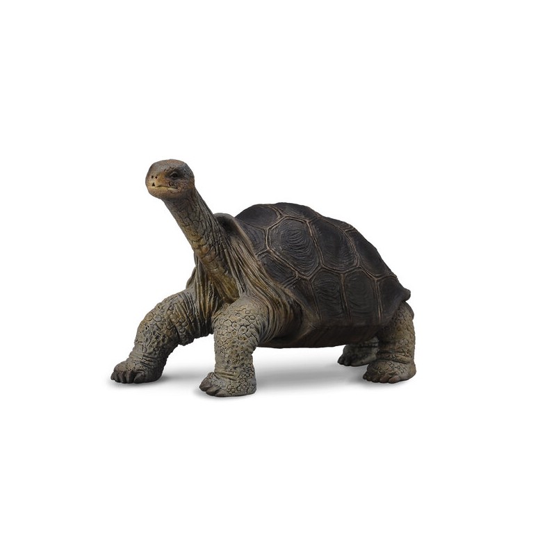 DAM - Figurine de collection - Collecta - Animaux sauvages - Tortue géante des Galapagos