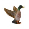 DAM - Figurine de collection - Collecta - Animaux de la ferme - Canard colvert mâle