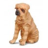 DAM - Figurine de collection - Collecta - Chiens - Shar Pei