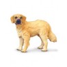 DAM - Figurine de collection - Collecta - Chiens - Golden retriever