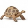 Papo - Figurine - 50264 - La vie sauvage - Tortue d'Hermann