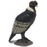 Papo - Figurine - 50293 - La vie sauvage - Condor