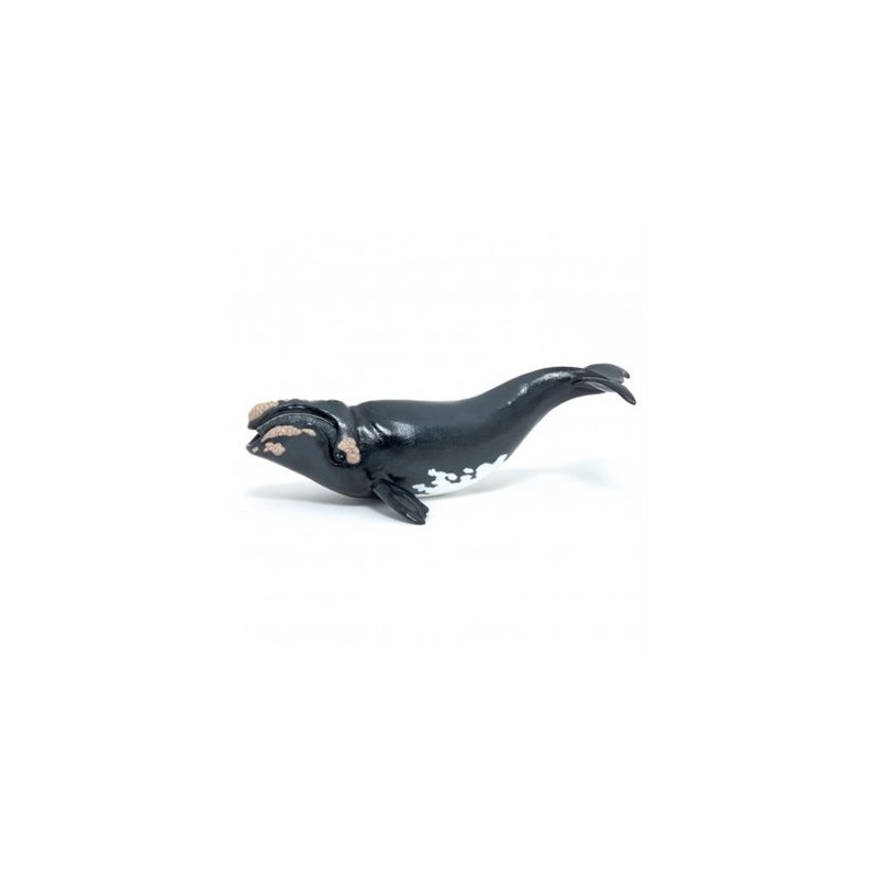 Papo - Figurine - 56057 - Animaux marins - Baleine franche