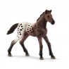 Schleich - 13862 - Horse Club - Poulain Appaloosa