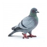 Papo - Figurine - 50295 - La vie sauvage - Pigeon