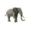 DAM - Figurine de collection - Collecta - Animaux sauvages - Éléphant Africain - (XL)