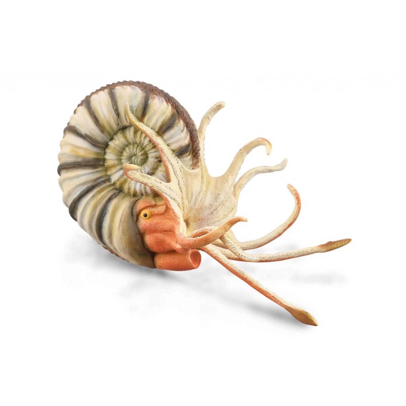 DAM - Figurine de collection - Collecta - Préhistoire - Ammonite Pleuroceras - (XL)