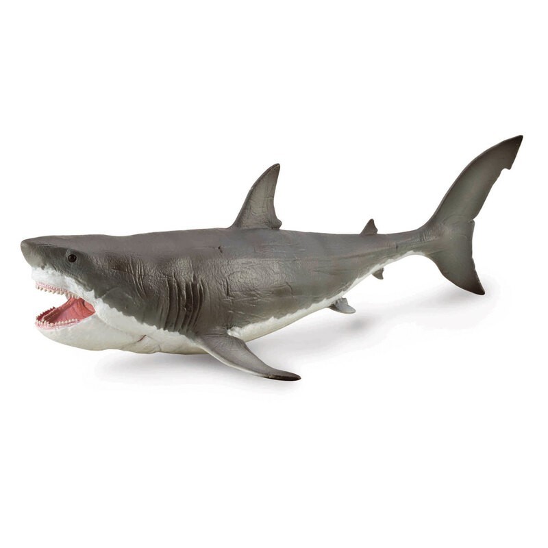 DAM - Figurine de collection - Collecta - Préhistoire - Megalodon - 1:40