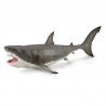 DAM - Figurine de collection - Collecta - Préhistoire - Megalodon - 1:40