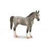 DAM - Figurine de collection - Collecta - Chevaux - Etalon Marwari Gris - 1:20