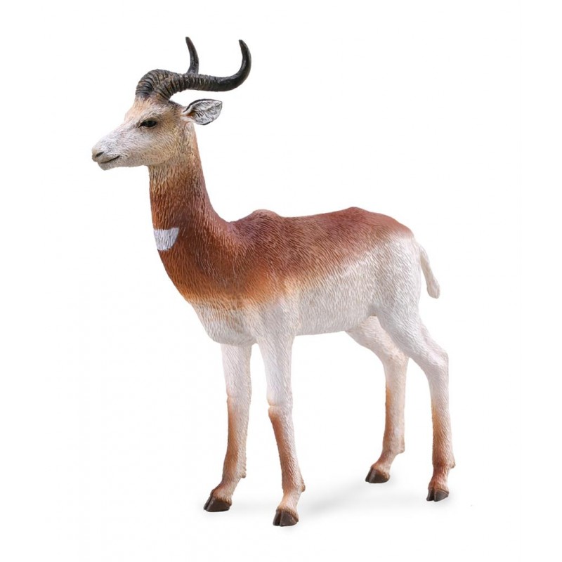 DAM - Figurine de collection - Collecta - Animaux sauvages - Gazelle Dama - (L)