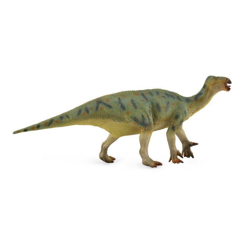 DAM - Figurine de collection - Collecta - Préhistoire - Iguanodon - 1:40