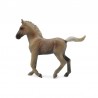 DAM - Figurine de collection - Collecta - Chevaux - Poulain Rocky Mountain - (M)