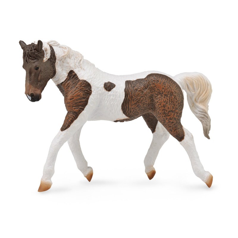 DAM - Figurine de collection - Collecta - Chevaux - Jument Curly - (XL)