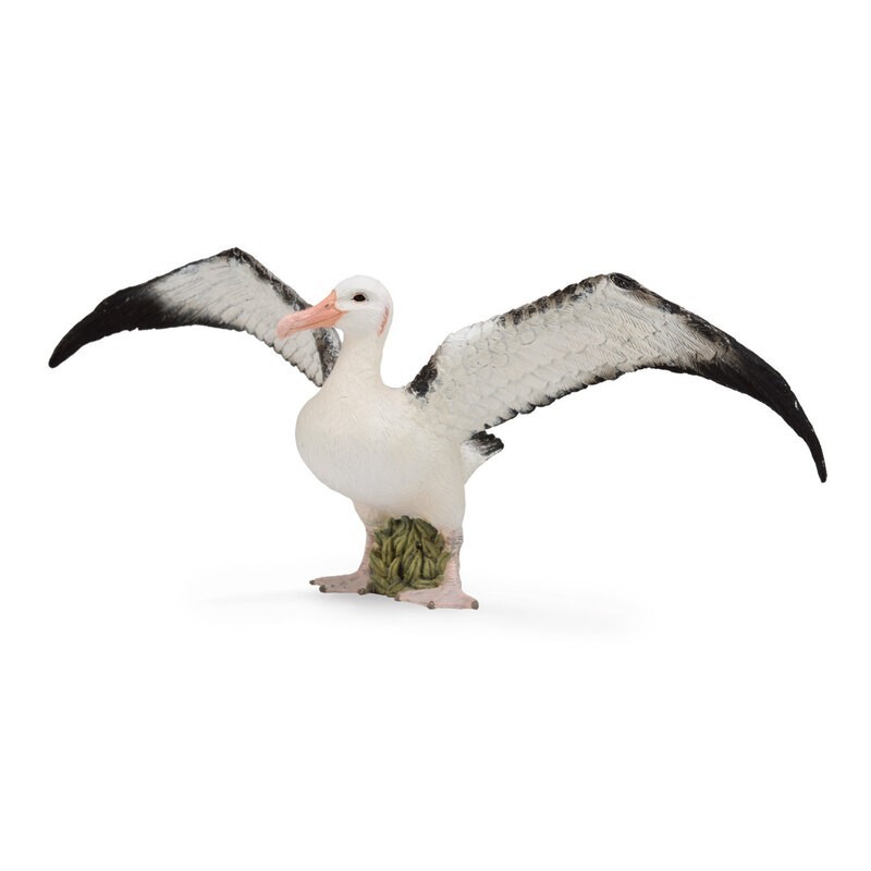 DAM - Figurine de collection - Collecta - Animaux marins - Albatros Hurleur - (L)