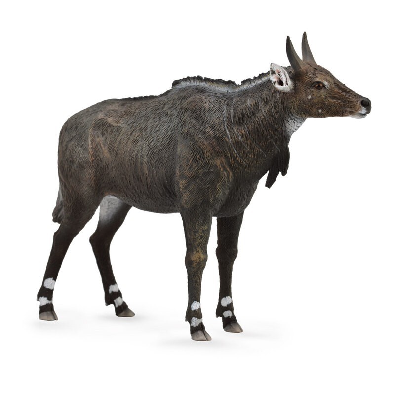 DAM - Figurine de collection - Collecta - Animaux sauvages - Nilgai - (L)