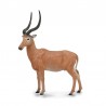 DAM - Figurine de collection - Collecta - Animaux sauvages - Antilope Hirola - (L)