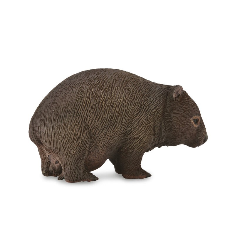 DAM - Figurine de collection - Collecta - Animaux sauvages - Wombat - (M)