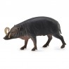 DAM ? Figurine de collection - Collecta - Animaux sauvages - Babiroussa - (L)