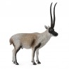 DAM - Figurine de collection - Collecta - Animaux sauvages - Antilope Du Tibet - (L)