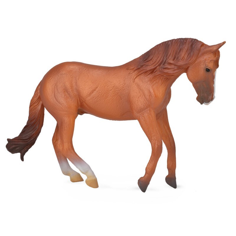 DAM - Figurine de collection - Collecta - Chevaux - Etalon Australien Marron (XL)