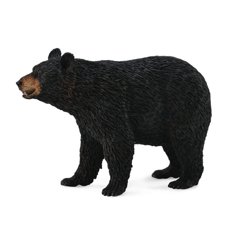 DAM - Figurine de collection - Collecta - Animaux sauvages - Ours Noir - (L)