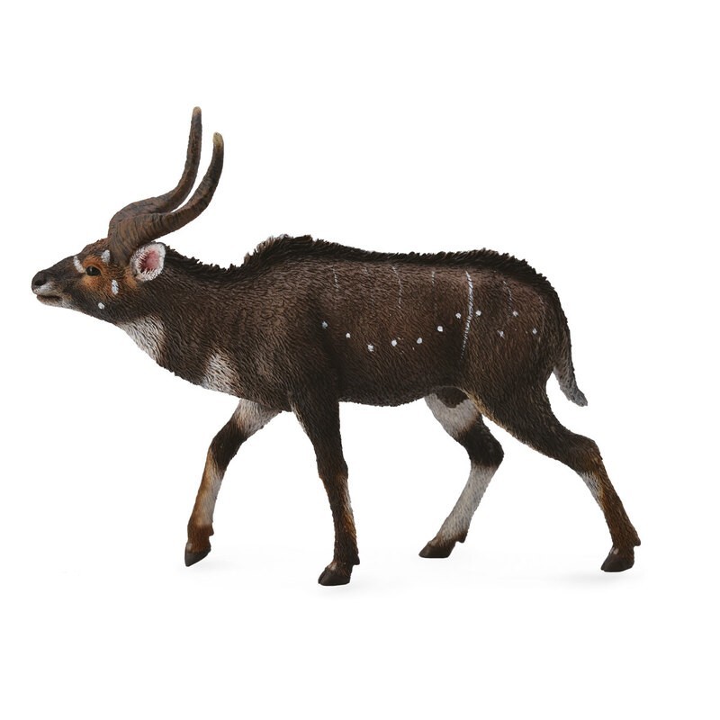 DAM - Figurine de collection - Collecta - Animaux sauvages - Nyala De Montagne - (L)