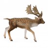 DAM - Figurine de collection - Collecta - Animaux de la forêt - Daim Chevreuil - (L)