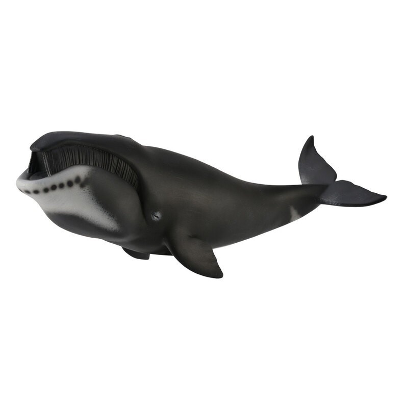 DAM - Figurine de collection - Collecta - Animaux marins - Baleine Boréale - (XL)