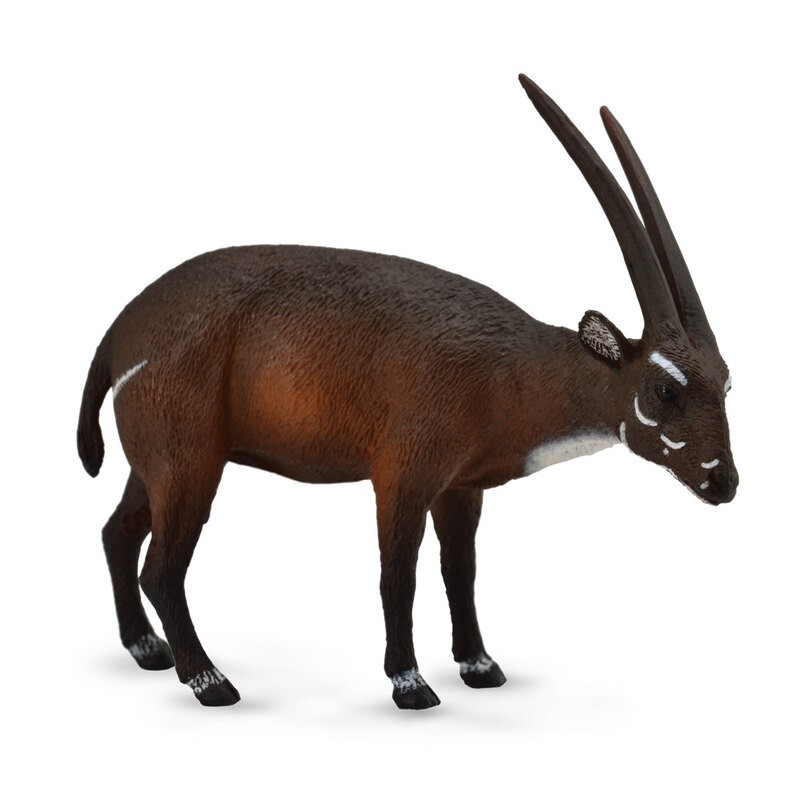 DAM - Figurine de collection - Collecta - Animaux sauvages - Saola - (L)