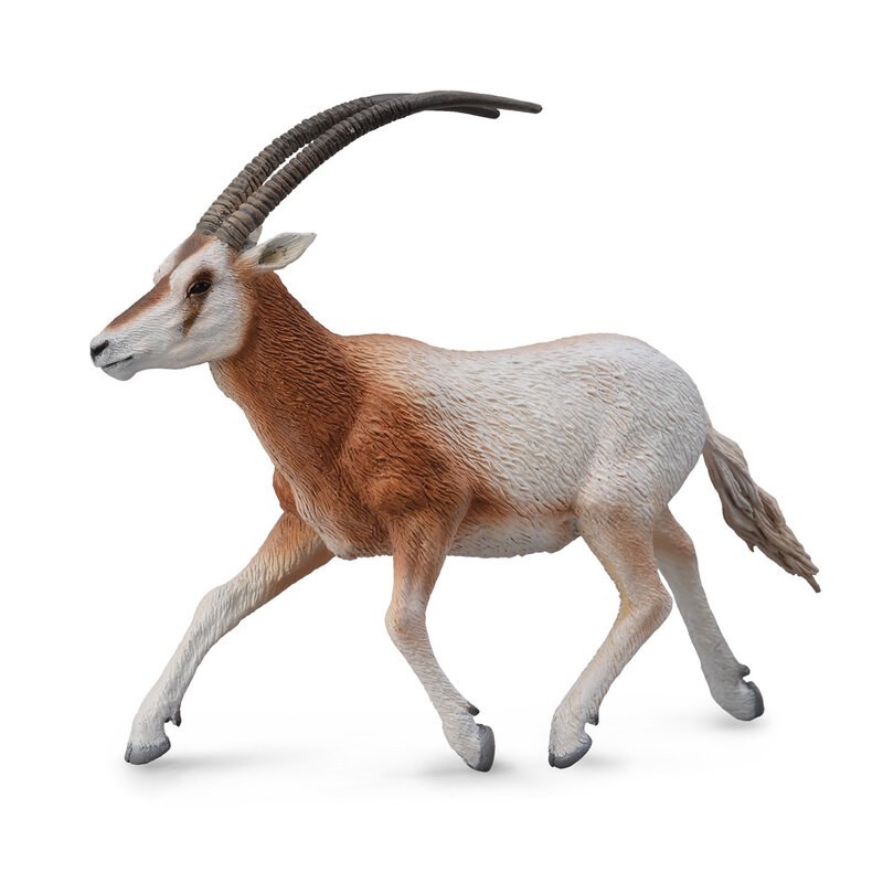 DAM - Figurine de collection - Collecta - Animaux sauvages - Oryx Algazelle - (L)