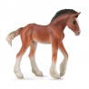 DAM - Figurine de collection - Collecta - Chevaux - Clydesdale Poulain Bai - (M)